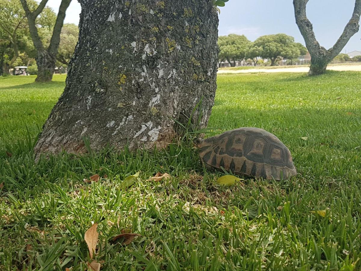 ホテル Golfer'S Retreat ランゲバーン エクステリア 写真